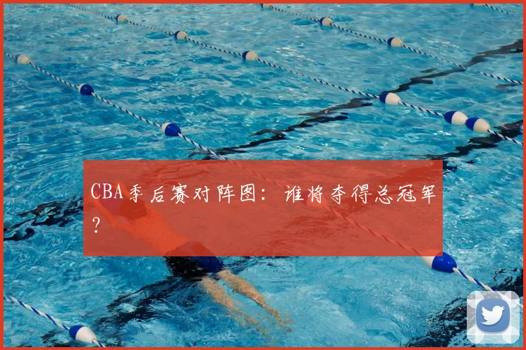 CBA季后赛对阵图：谁将夺得总冠军？