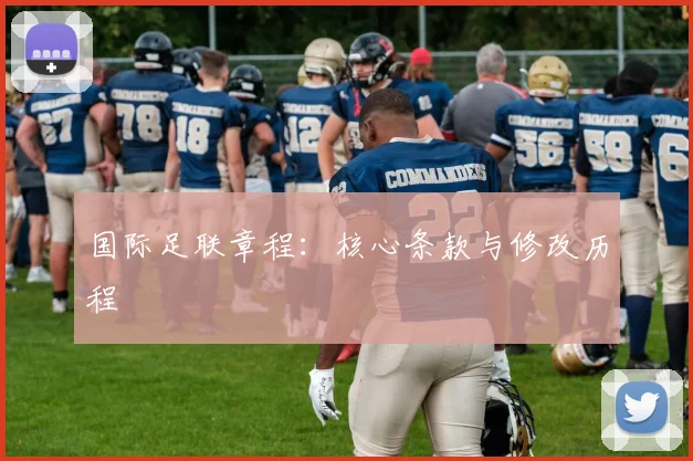 国际足联章程：核心条款与修改历程